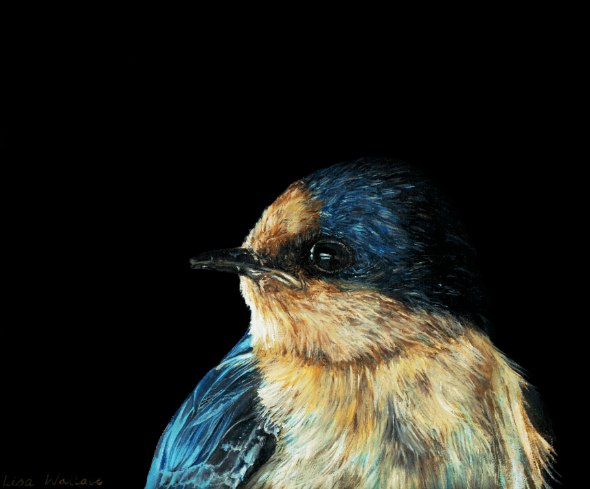 Swallow print